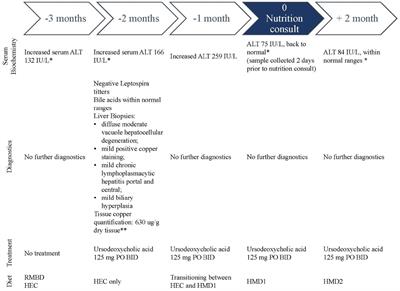 Nutritional management of a dog with hepatic enzymopathy suspected to be secondary to copper-associated hepatitis: a case report